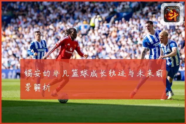 锡安的非凡篮球成长轨迹与未来前景解析