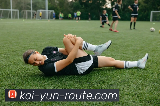 开云平台展示图